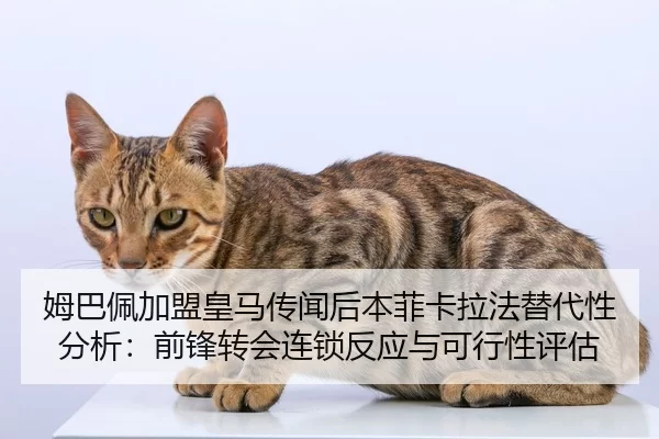 mu-ba-pei-jia-meng-huang-ma-chuan-wen-hou-ben-fei-ka-la-fa-ti-dai-xing-fen-xi-qian-feng-zhuan-hui-lian-suo-fan-ying-yu-2-203.jpg