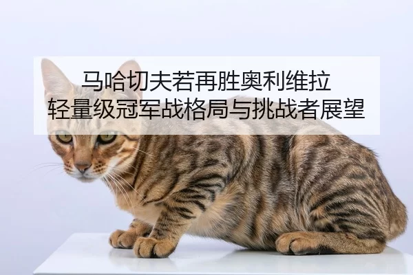 ma-ha-qie-fu-ruo-zai-sheng-ao-li-wei-la-qing-liang-ji-guan-jun-zhan-ge-ju-yu-tiao-zhan-zhe-zhan-wang-2-363.jpg